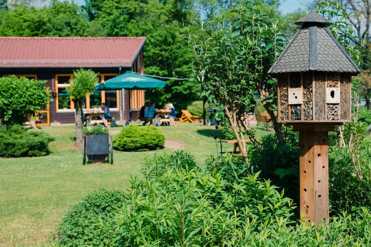 Aktiv-Hotel Stock & Stein Konigstein an der Elbe Ngoại thất bức ảnh
